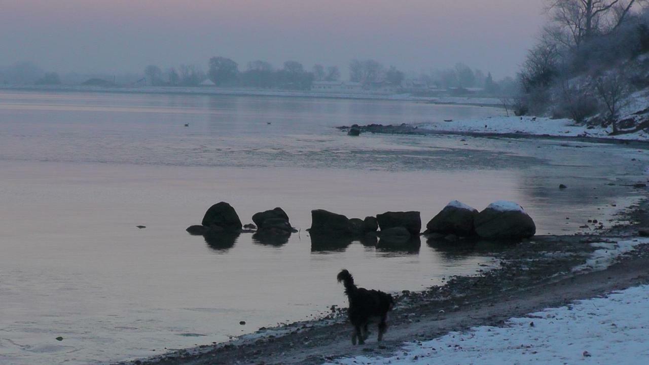 Zirkuswagen Nahe Ostsee Und Schlei Apartment Wagersrott Екстериор снимка